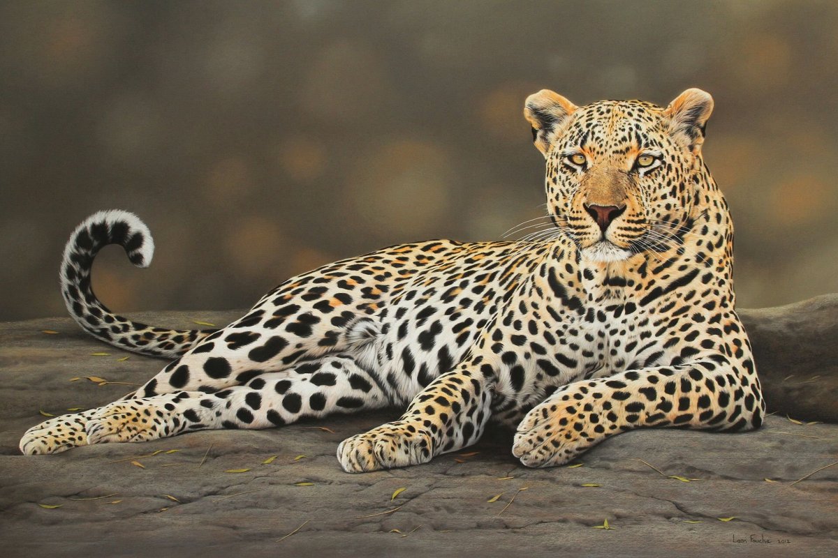 Европейский леопард