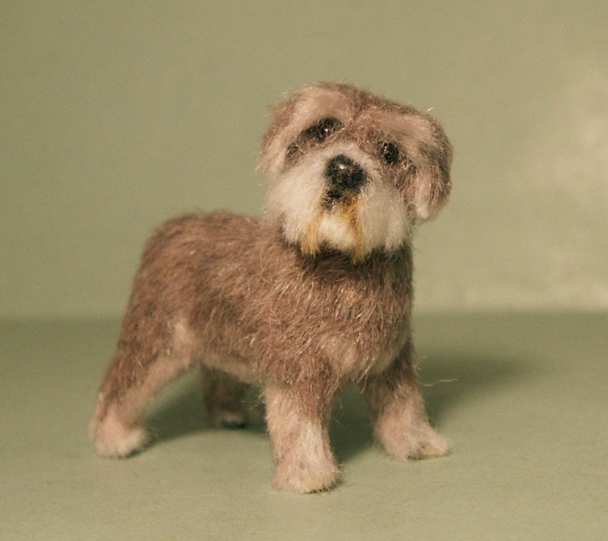 Шнауцер терьер