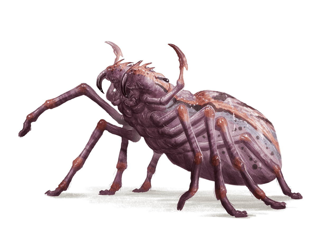Гигантский паук ДНД 5е