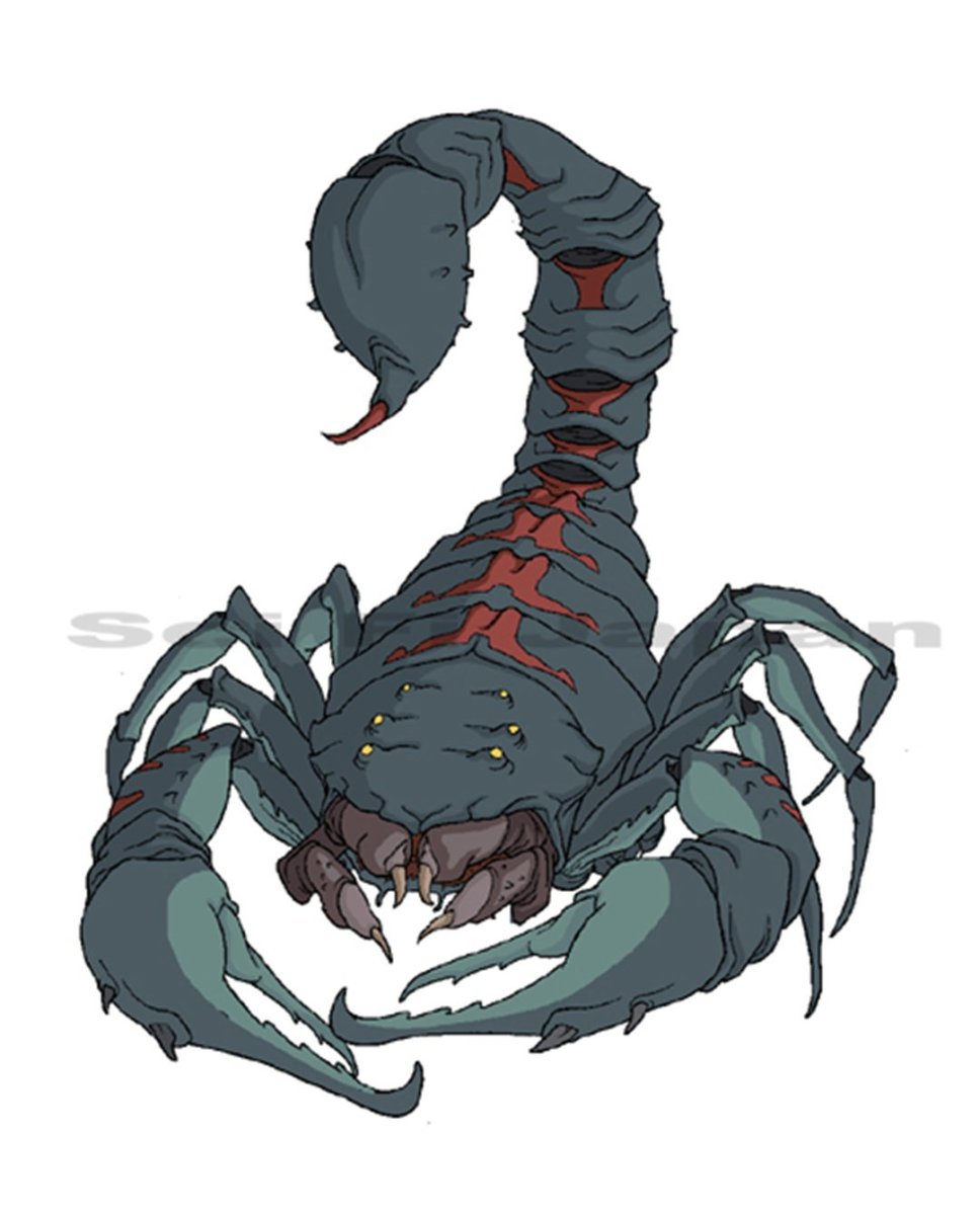 Аризонский древесный Скорпион