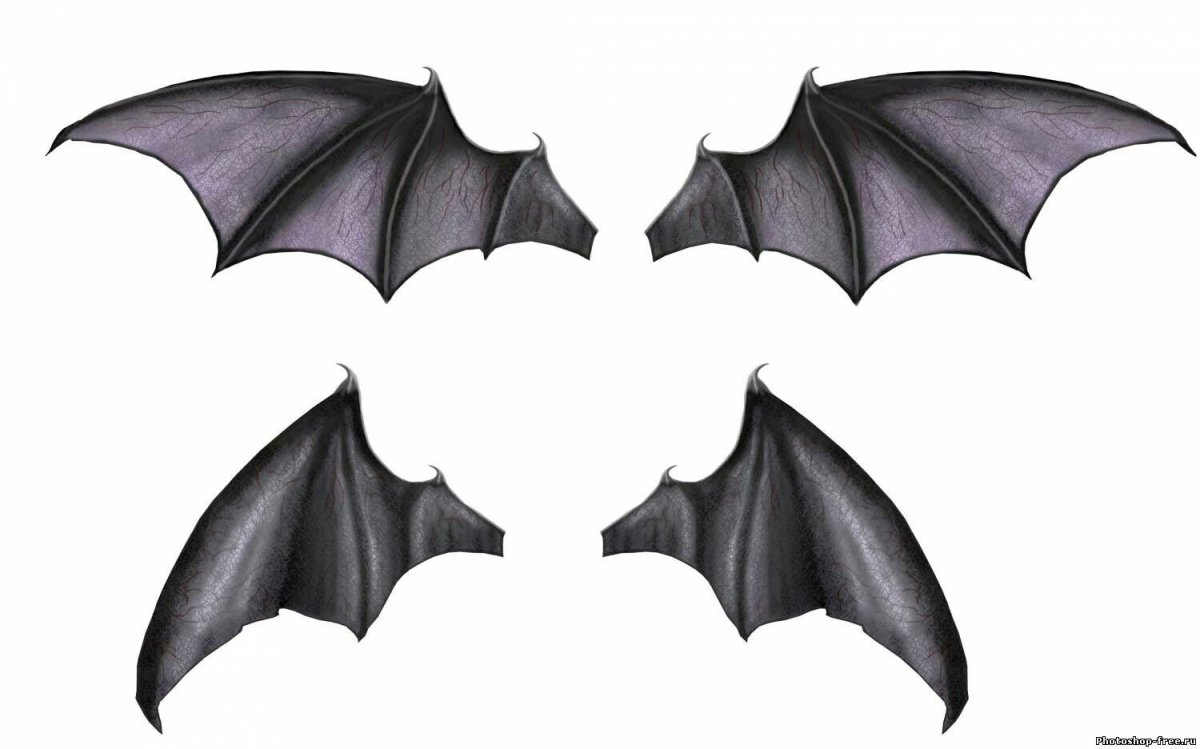 Крылья летучей мыши сбоку