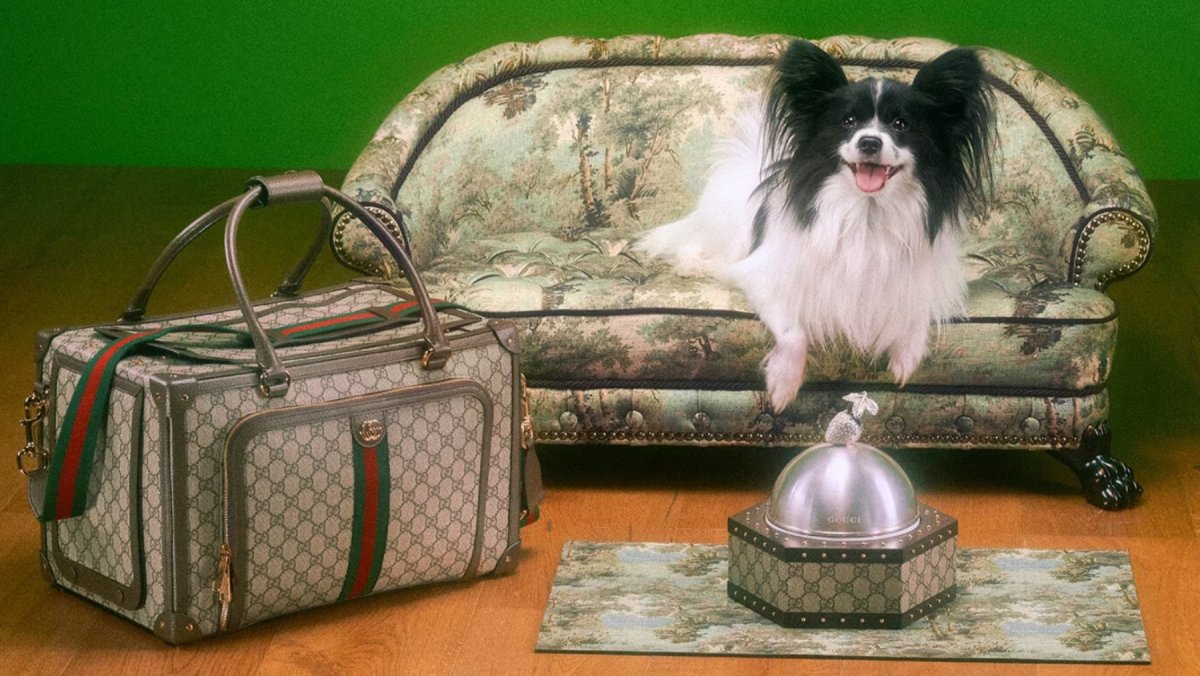 Gucci выпустил коллекцию для собак