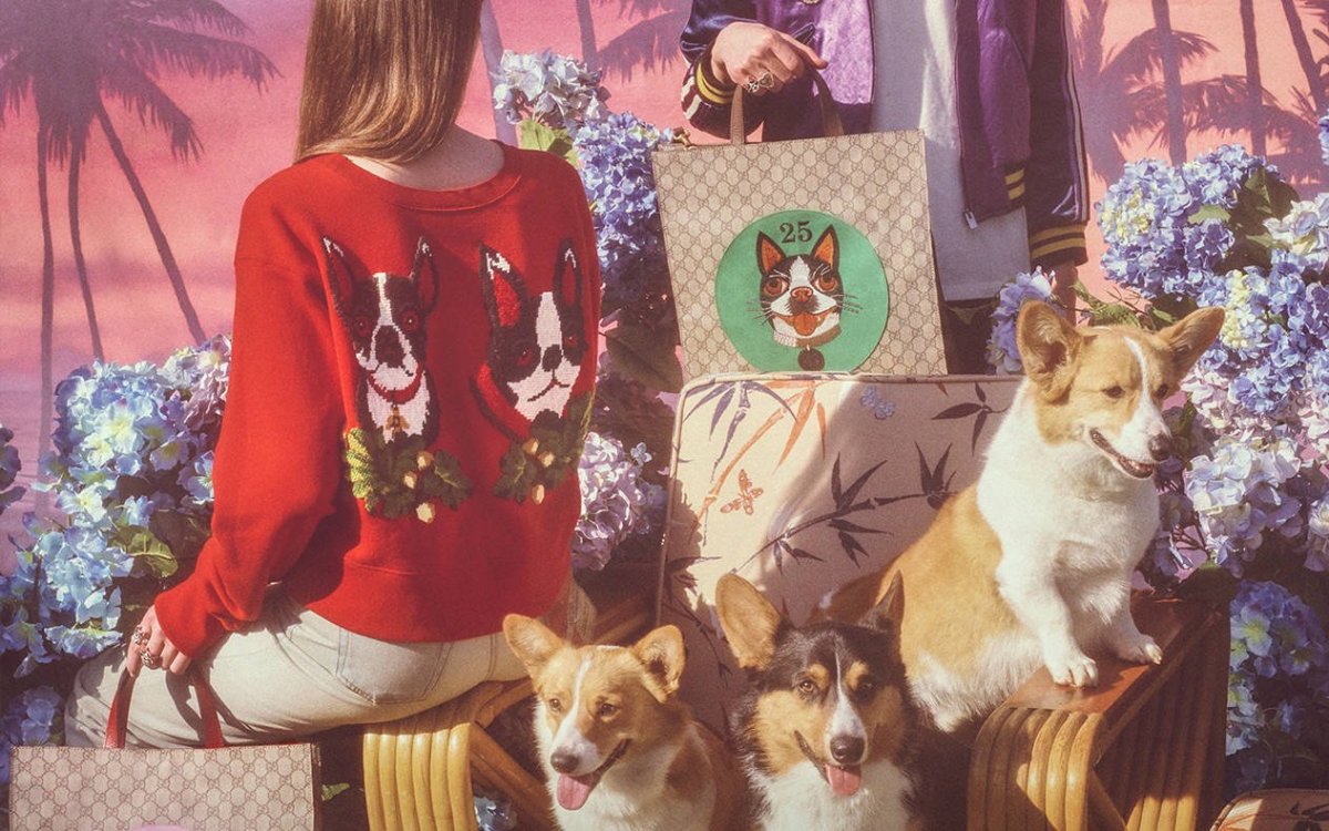 Билли Айлиш с щенками