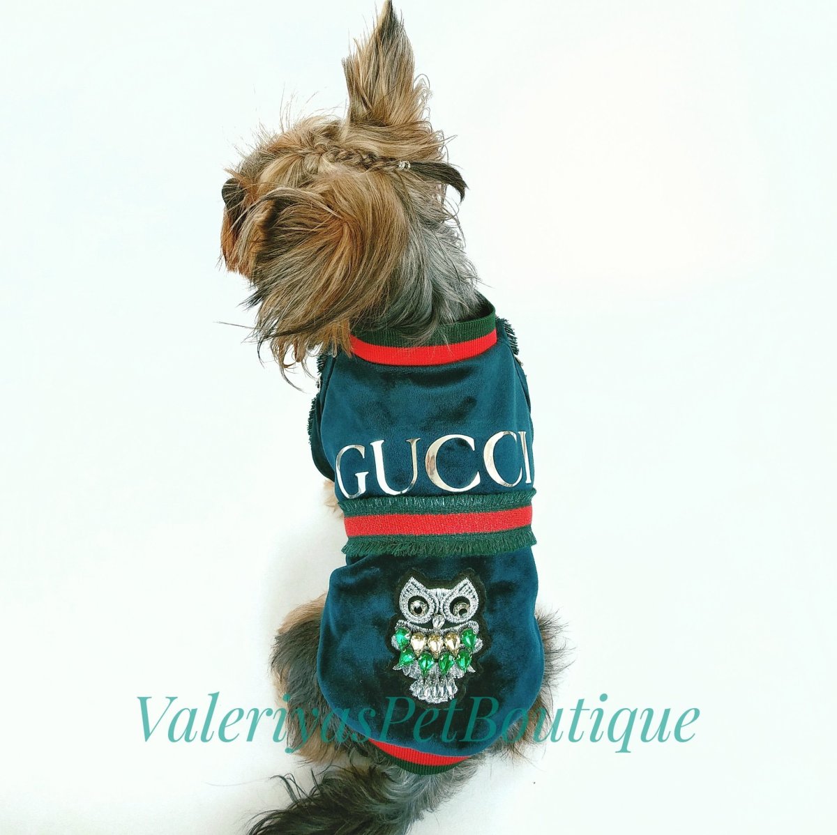 Коллекция для животных гуччи