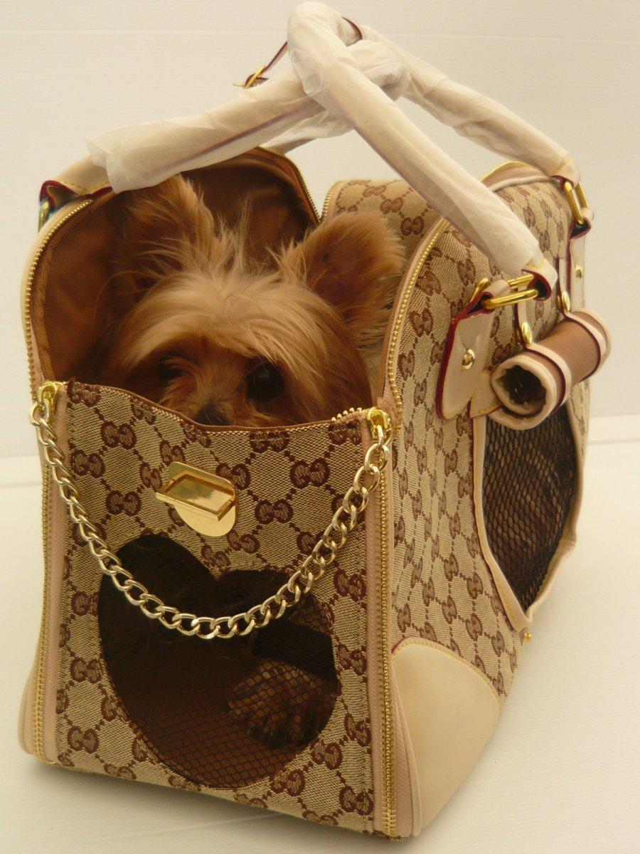 Бостон терьер и гуччи