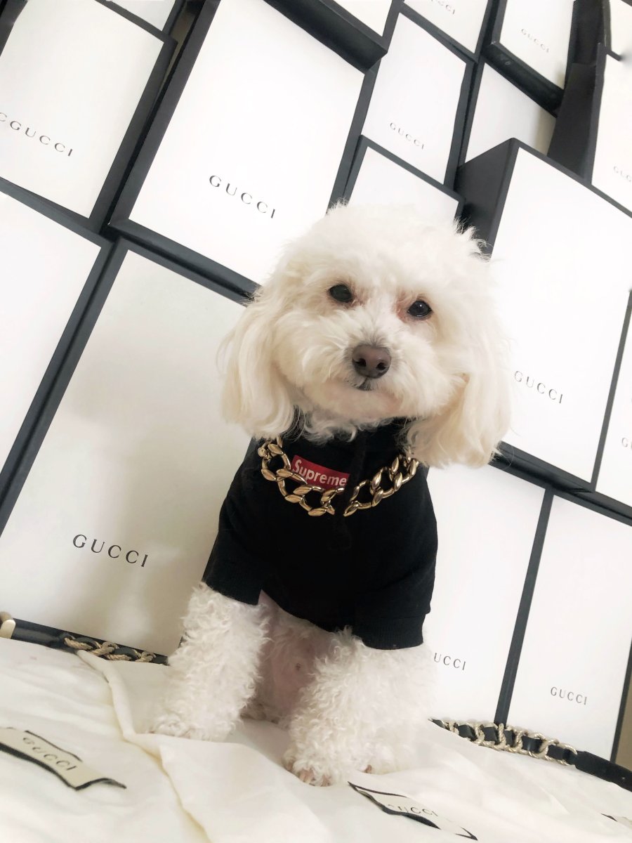 Собаки документальный