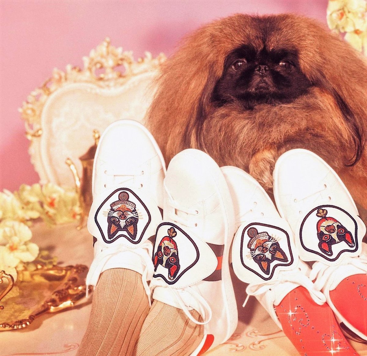 Одежда для собак гуччи Луи Виттон