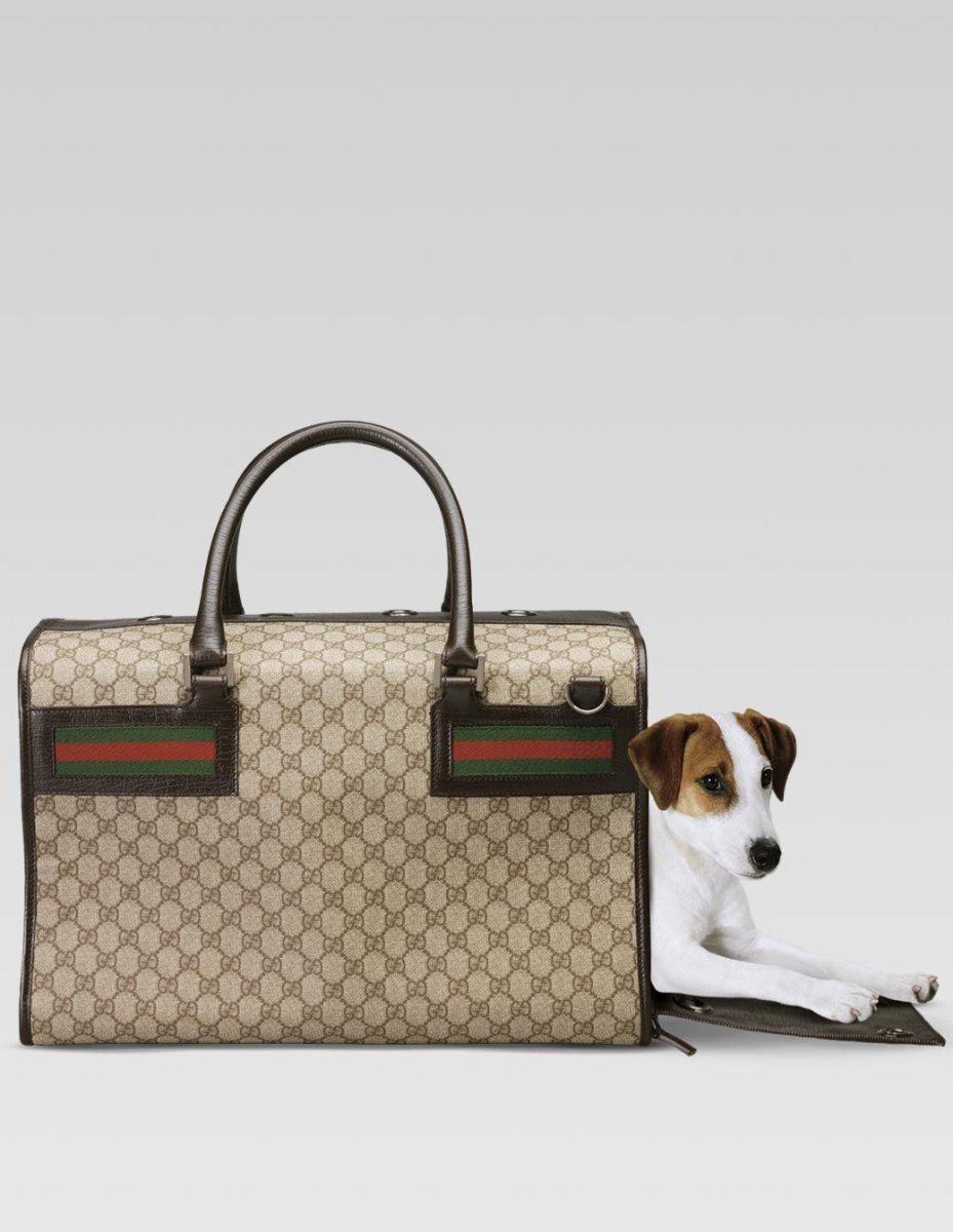 Носки Gucci с тигром