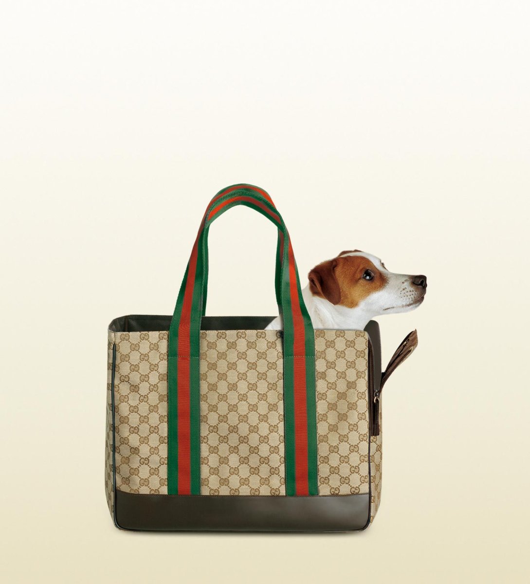 Девушка с собакой Эстетика