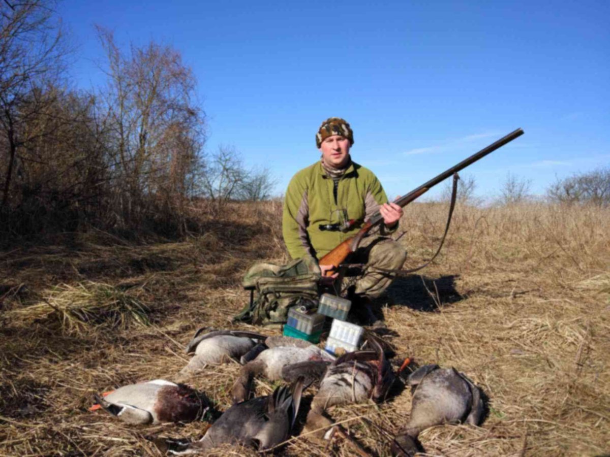 Охота с подсадной уткой на селезня