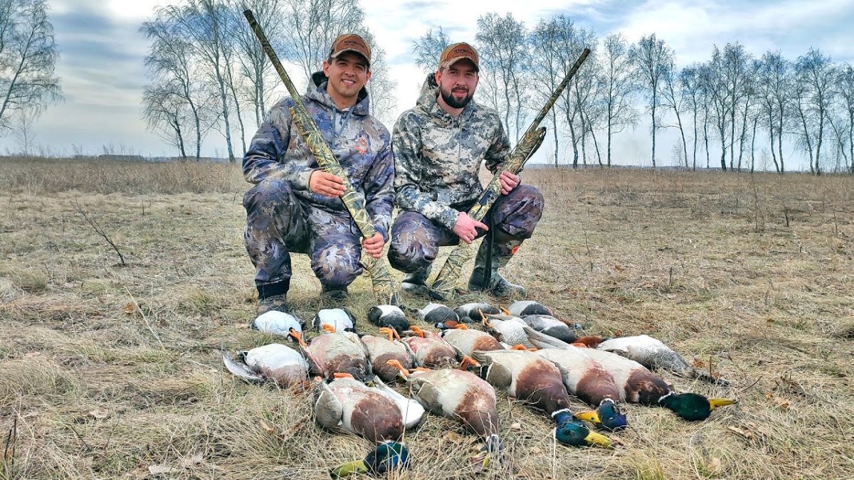 Утки взлетают с воды