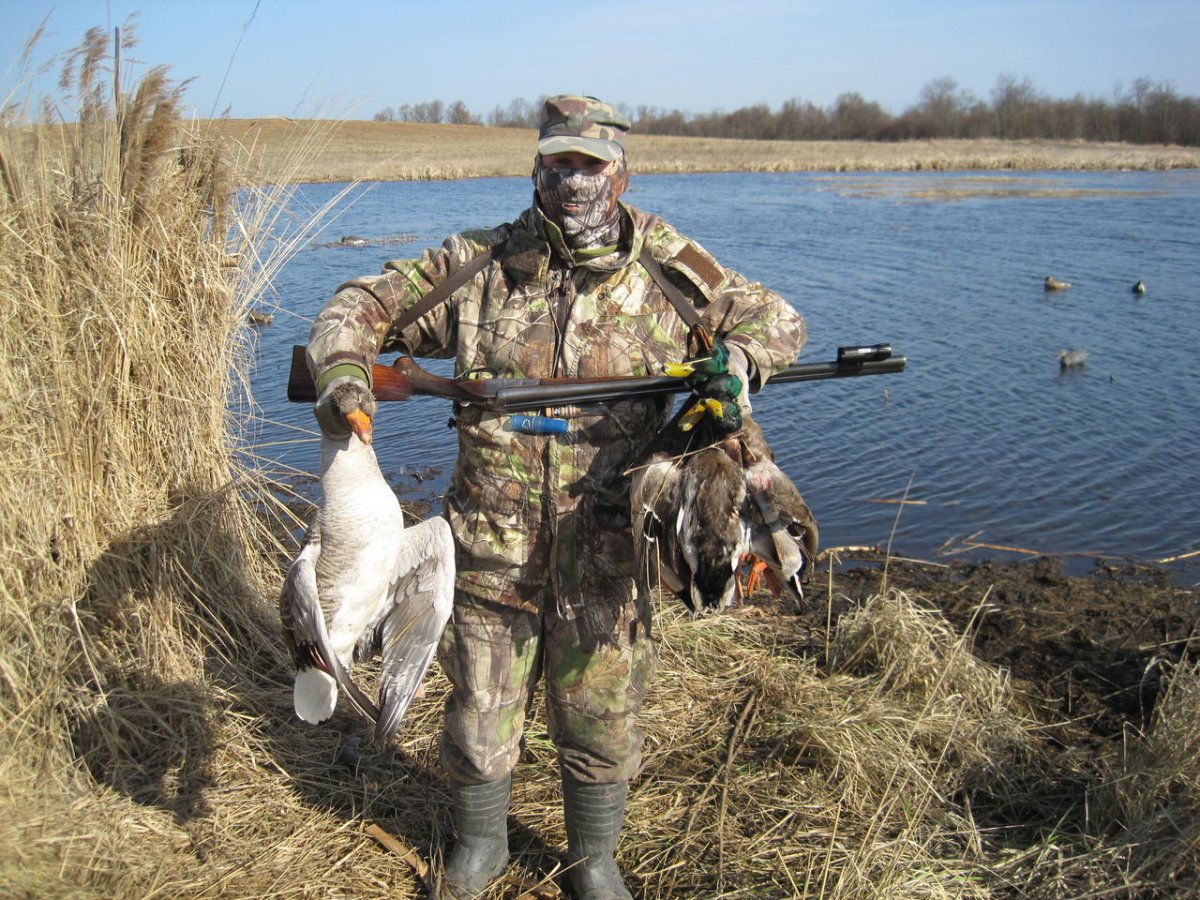 Сезон охоты утки