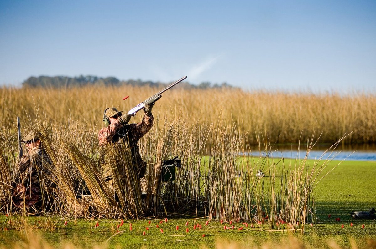 Весенняя охота на утку с подсадной