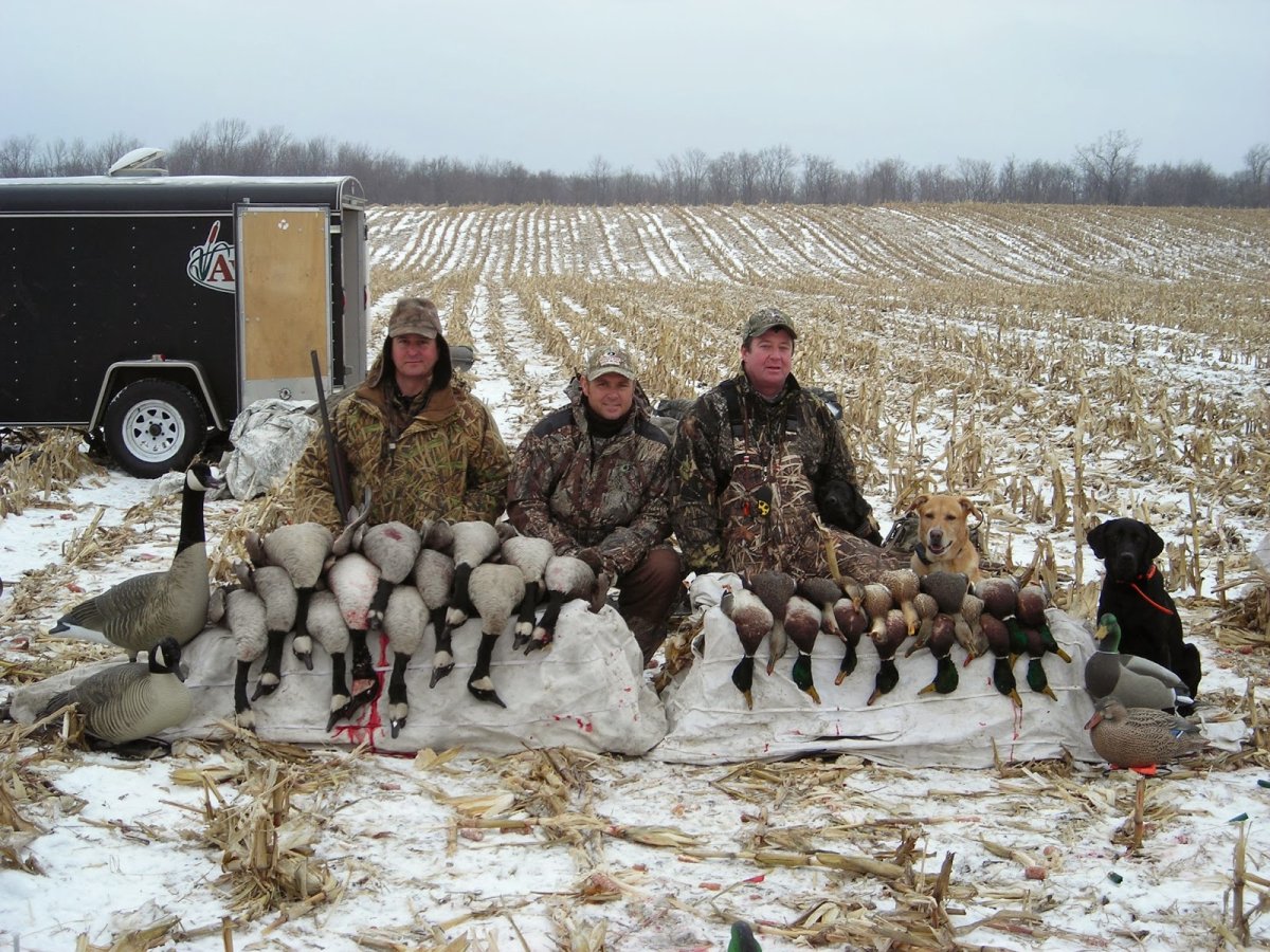 Стрельба по уткам