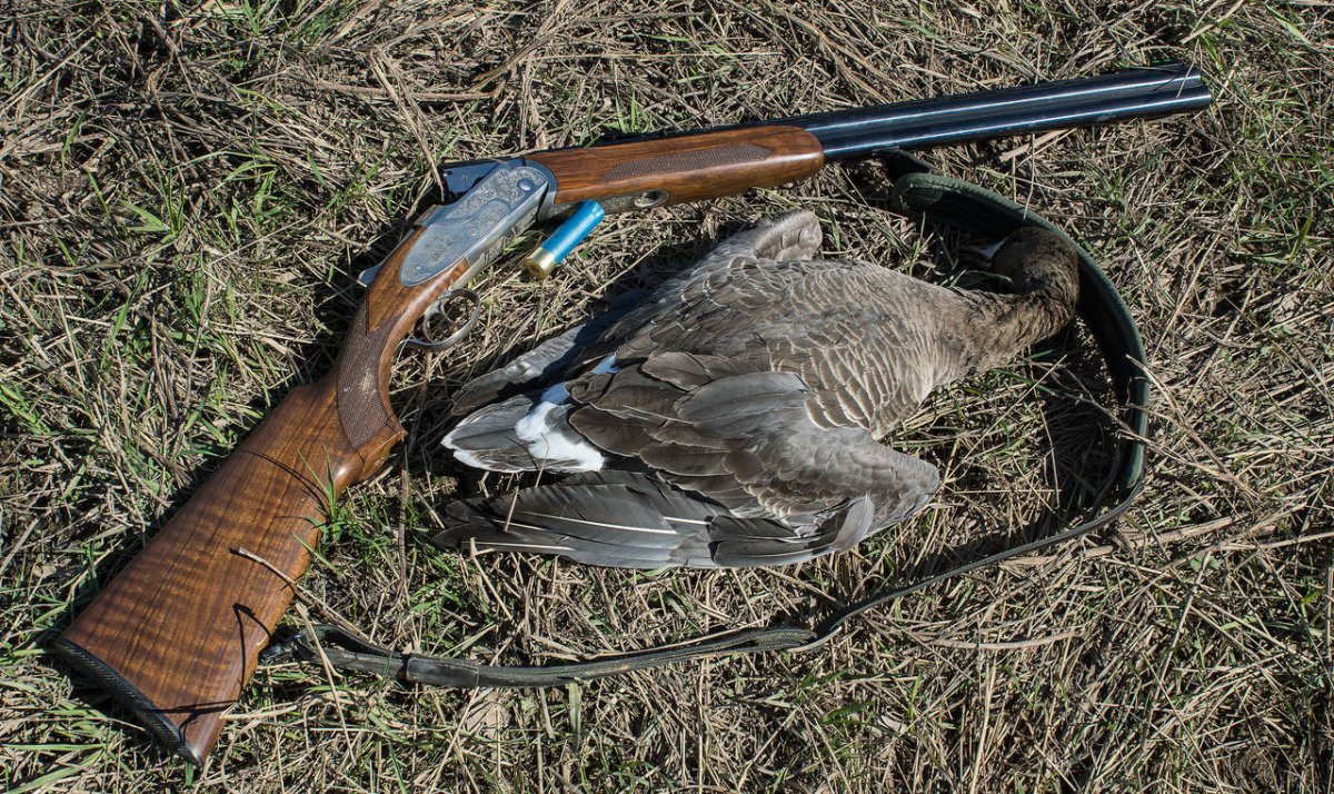 Королевская дичь вальдшнеп