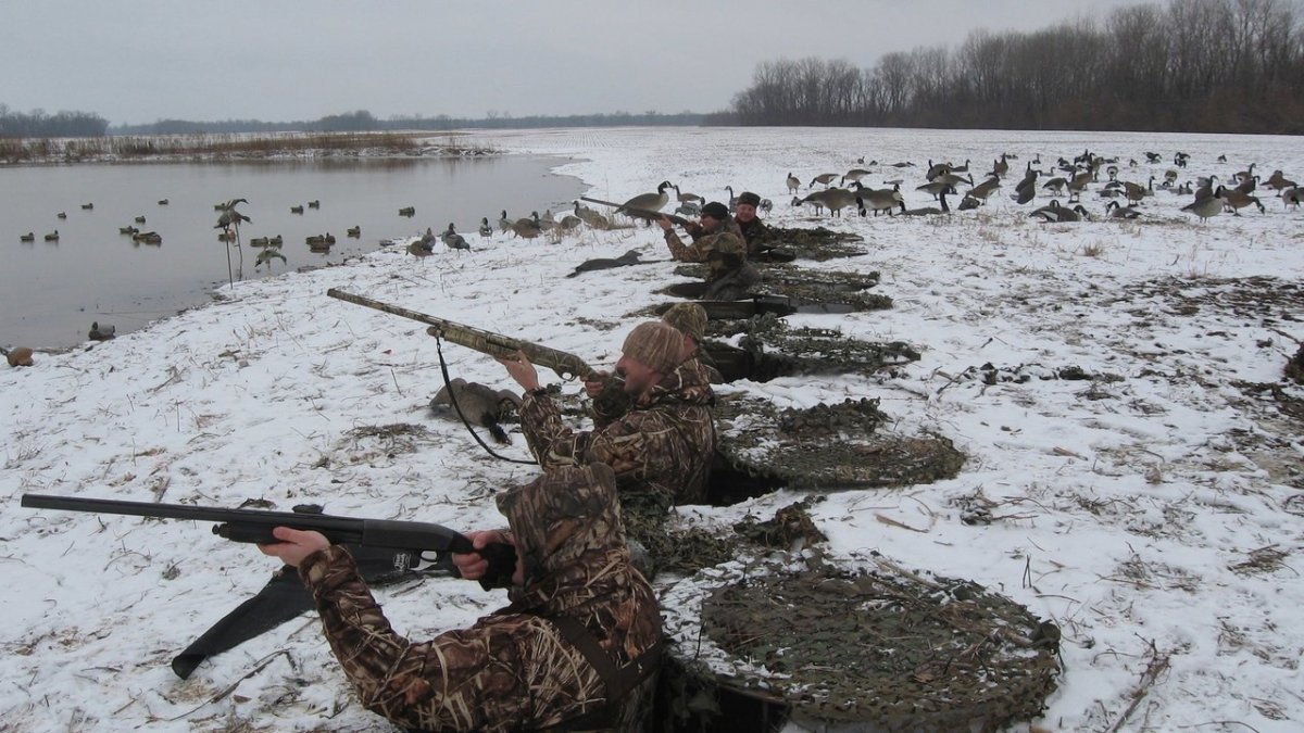 Охота на гуся в Липецкой области 2020