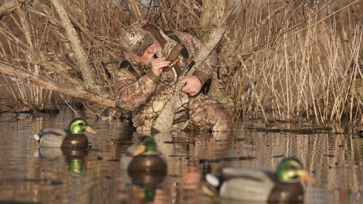 Охота на уток