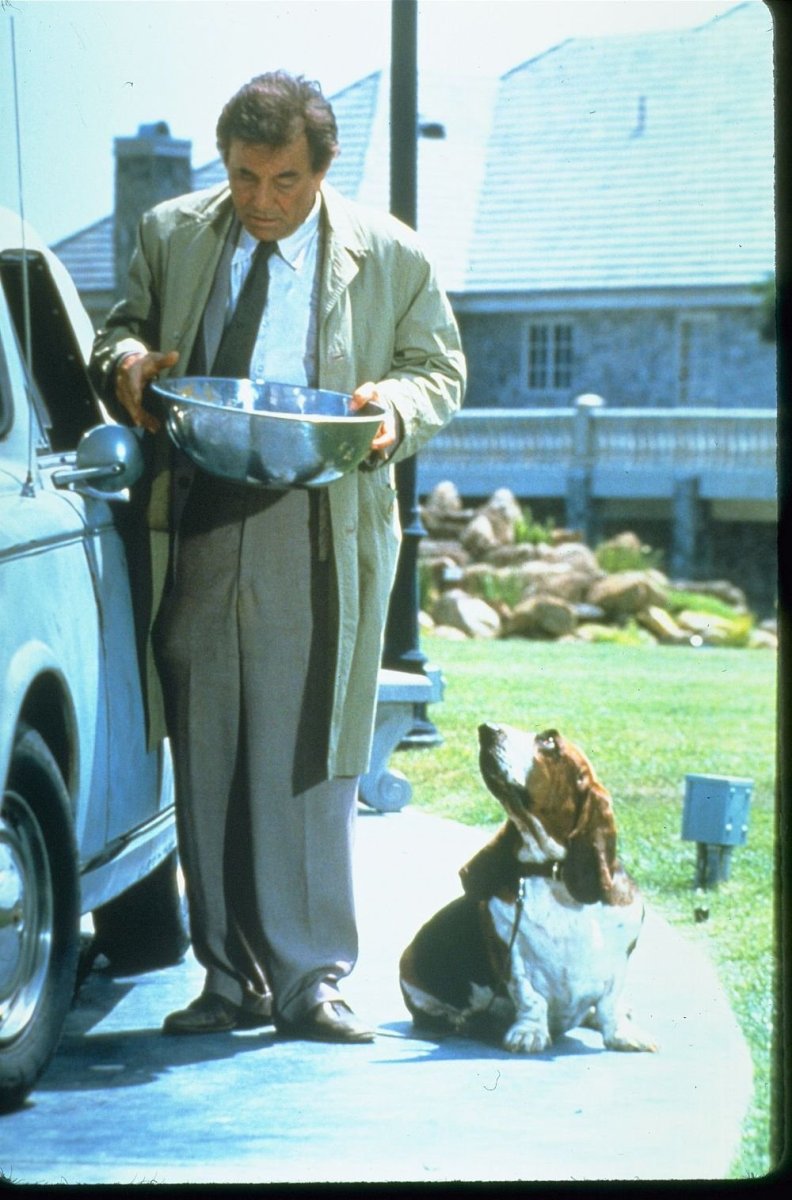 Собака детектива Коломбо