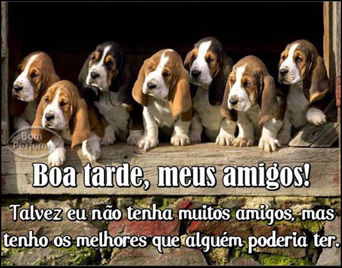 Собака детектива Коломбо