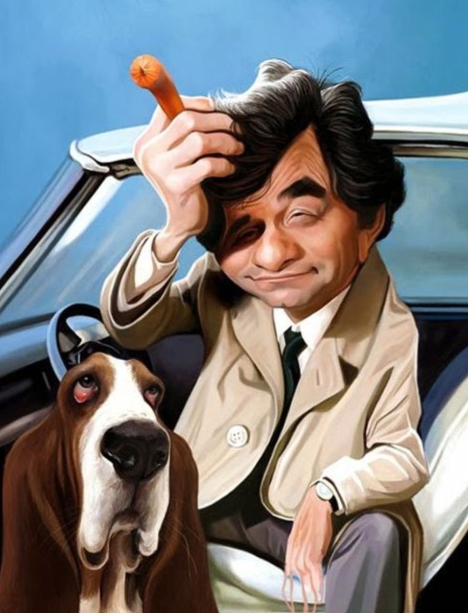 Бассет хаунд жесткошерстный