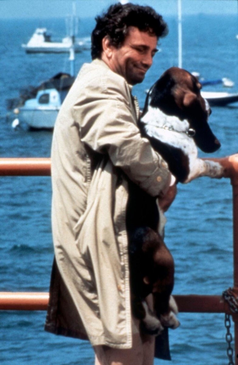 Вельш хаунд