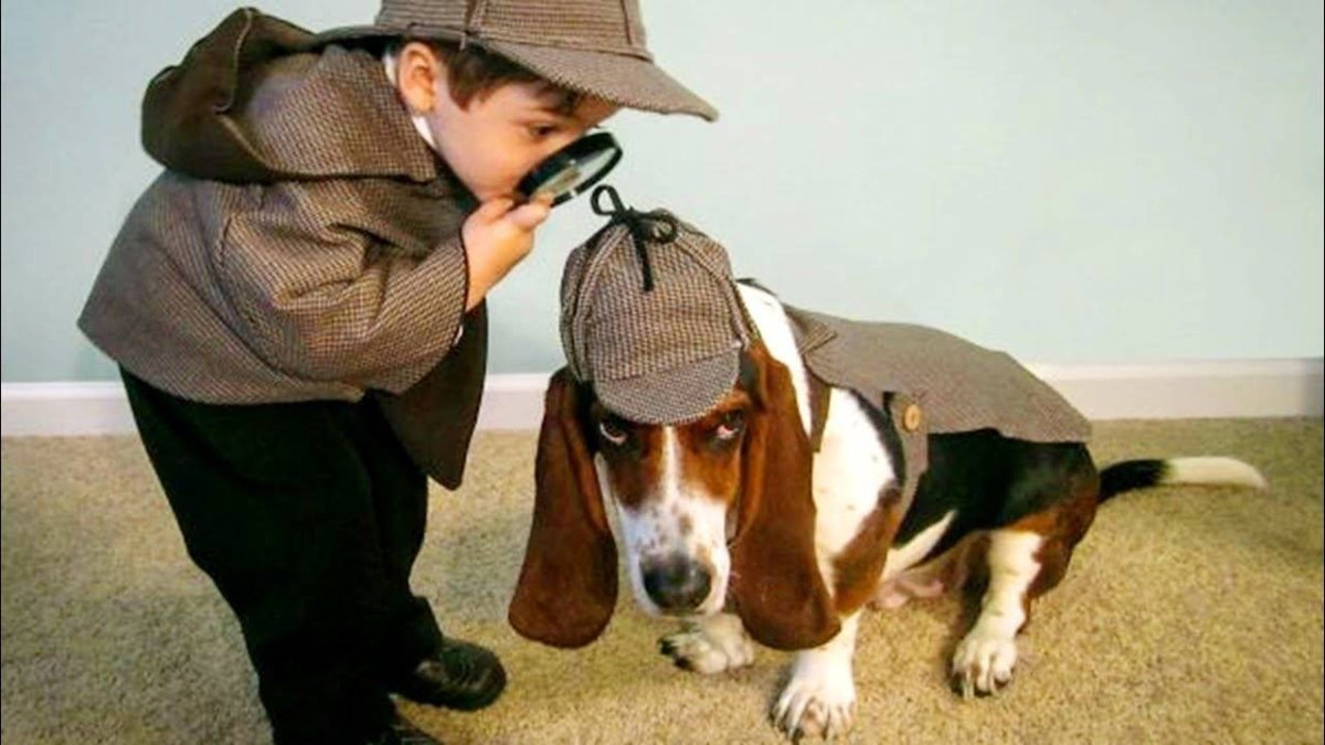 Порода собаки в мажоре