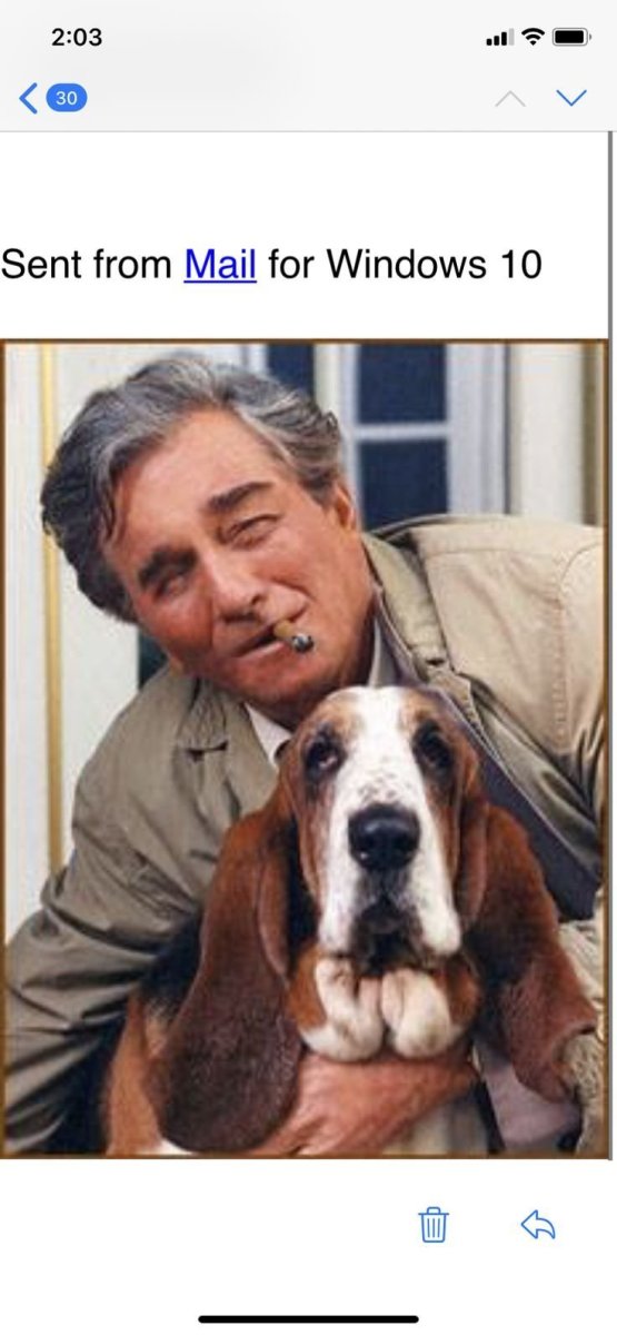 Коломбо сериал собака