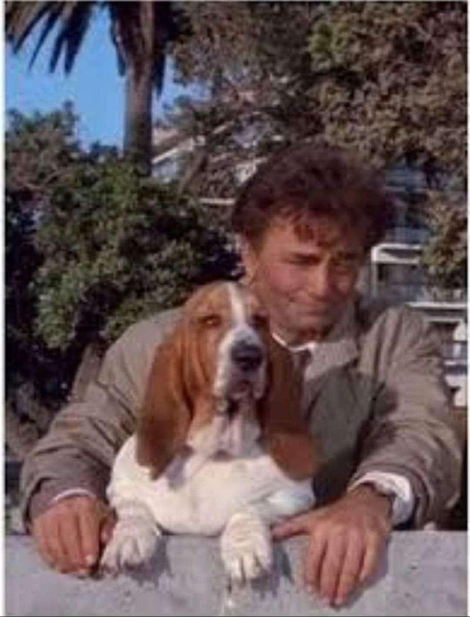 Собака и Коломбо его сериал