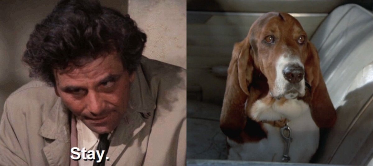 Собака детектива Коломбо