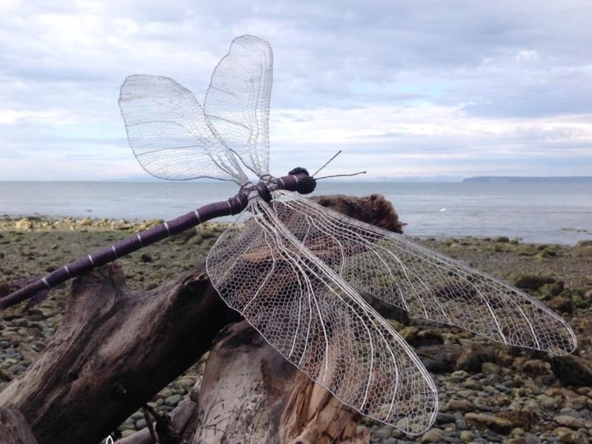 Меганевра Стрекоза