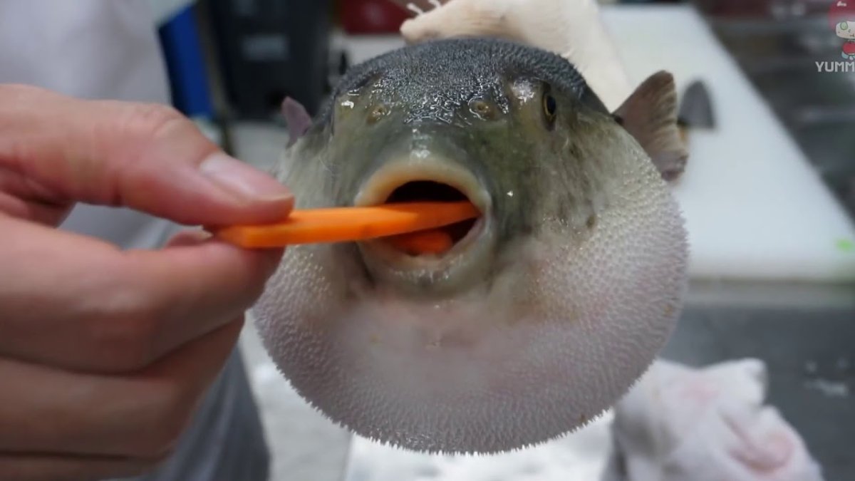 Утиная ножка конфи с ягодным соусом