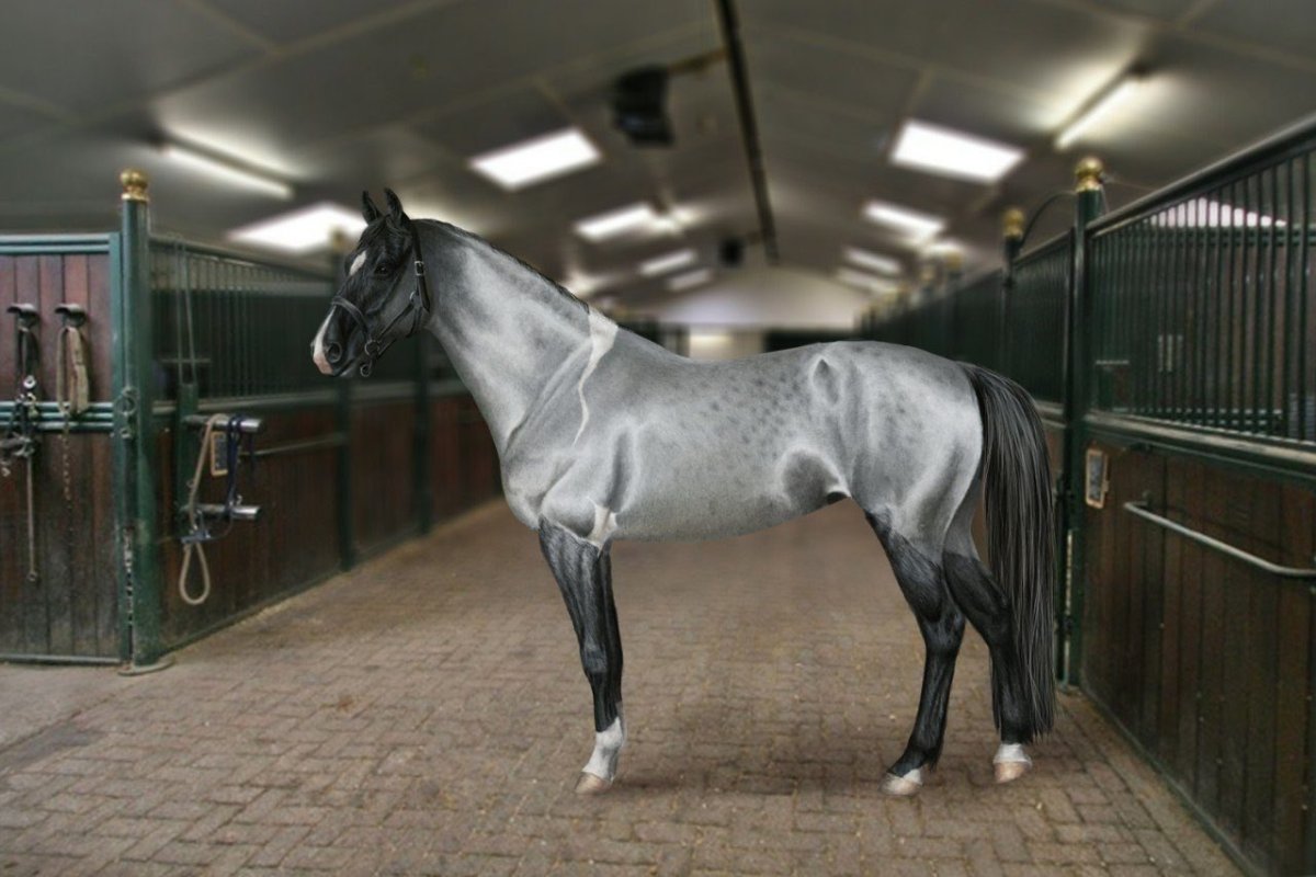 Упоротая лошадка