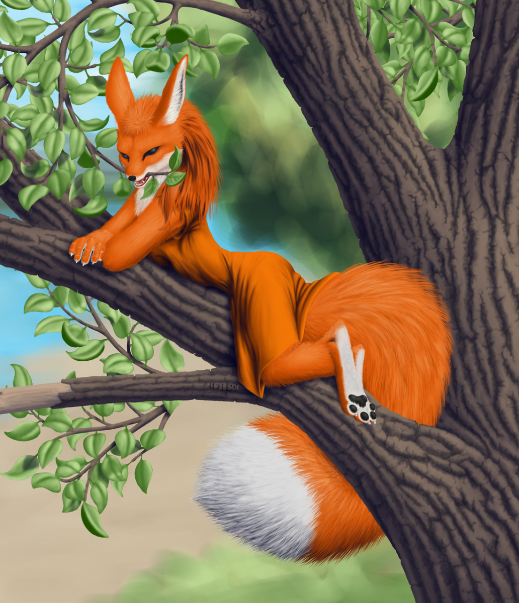 Лис и белка