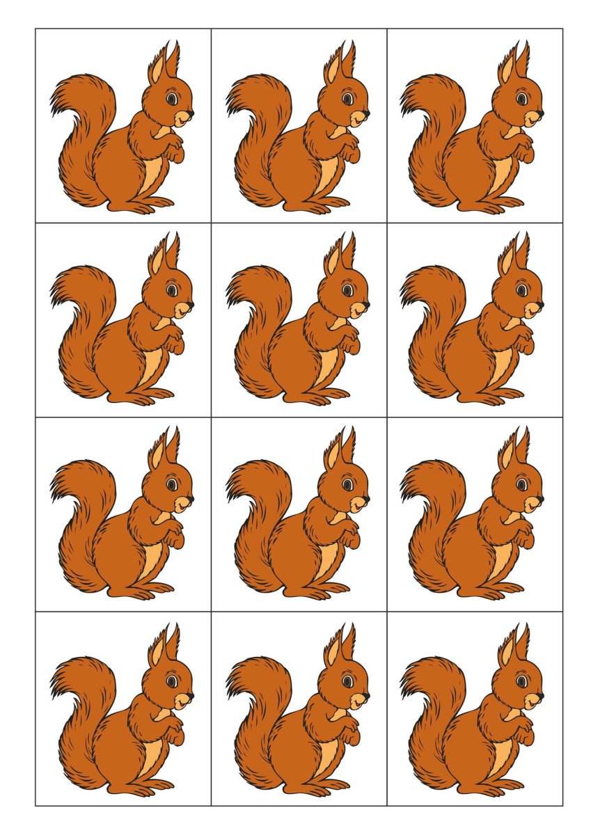 Раздаточный материал белочки