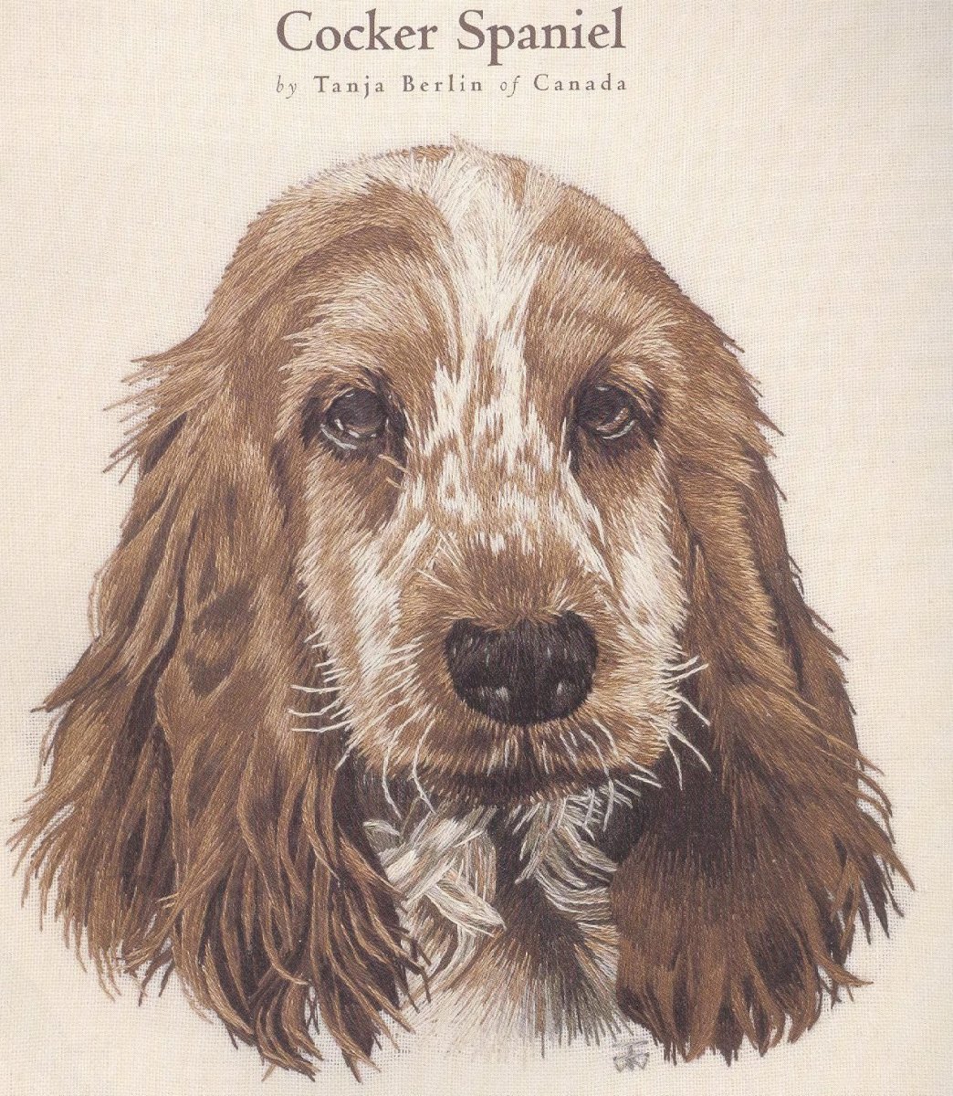 Кокер спаниель рыжий