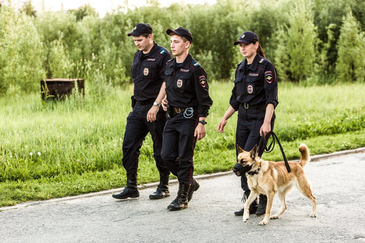 Кинолог в полиции