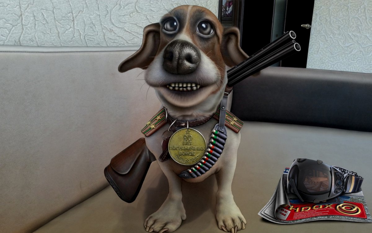 Собака с винтовкой