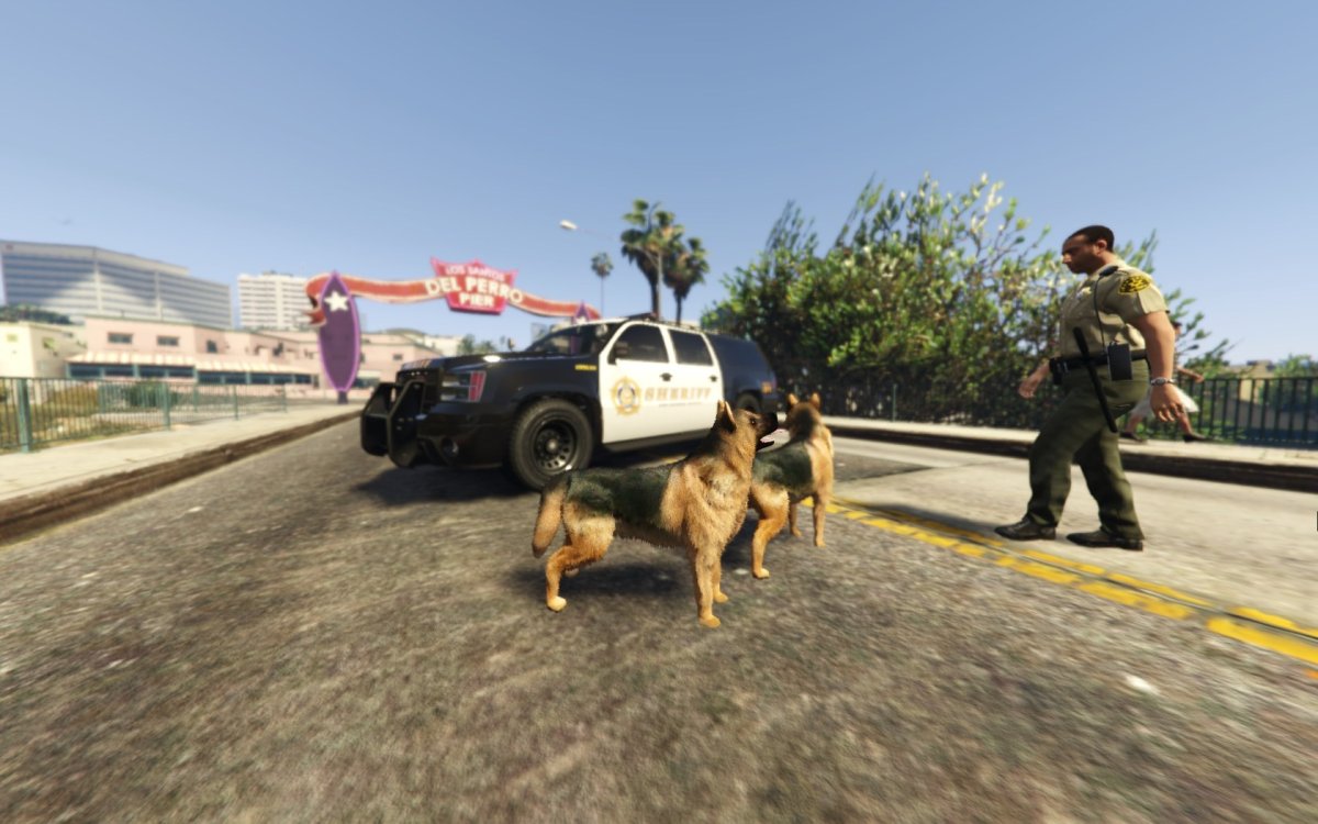 GTA 5 Франклин с собакой