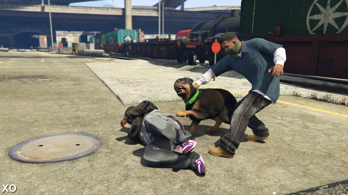 Grand Theft auto v Франклин с собакой