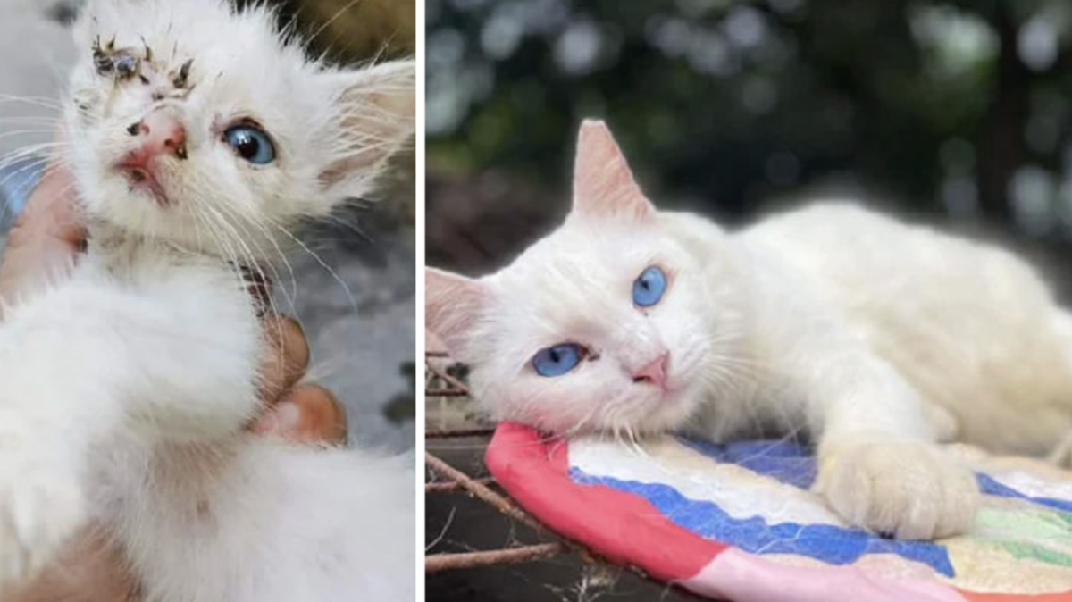 Милые демотиваторы