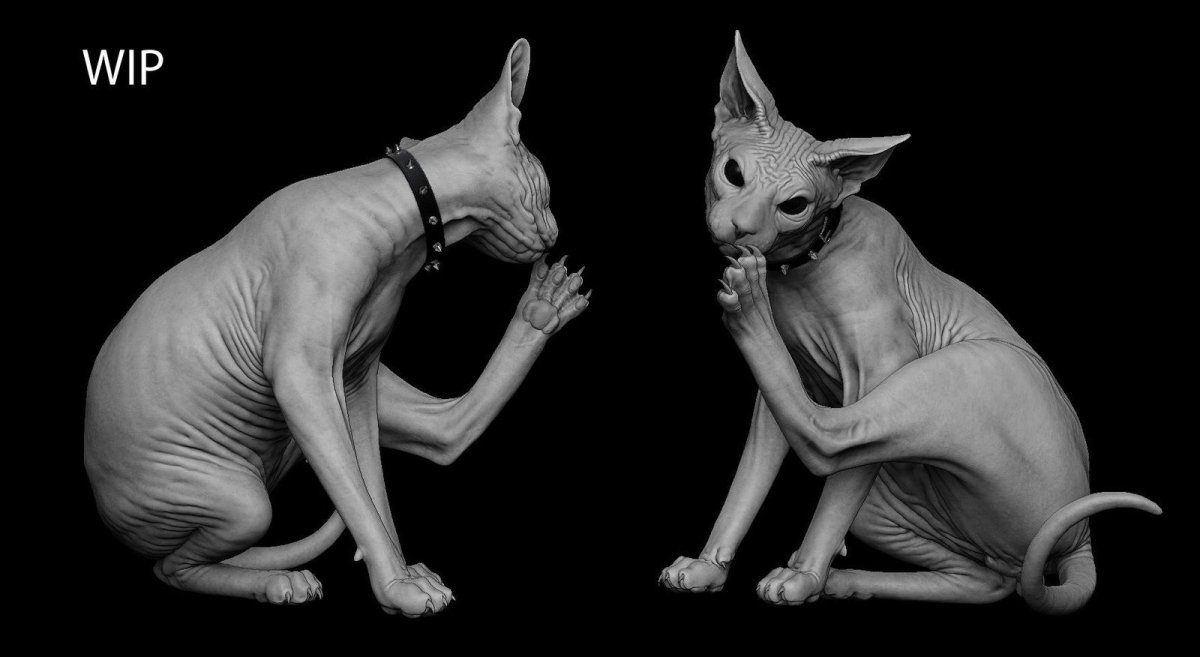 Ориентал летучая мышь