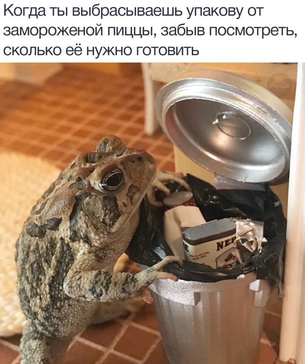 Черепашонок загорает