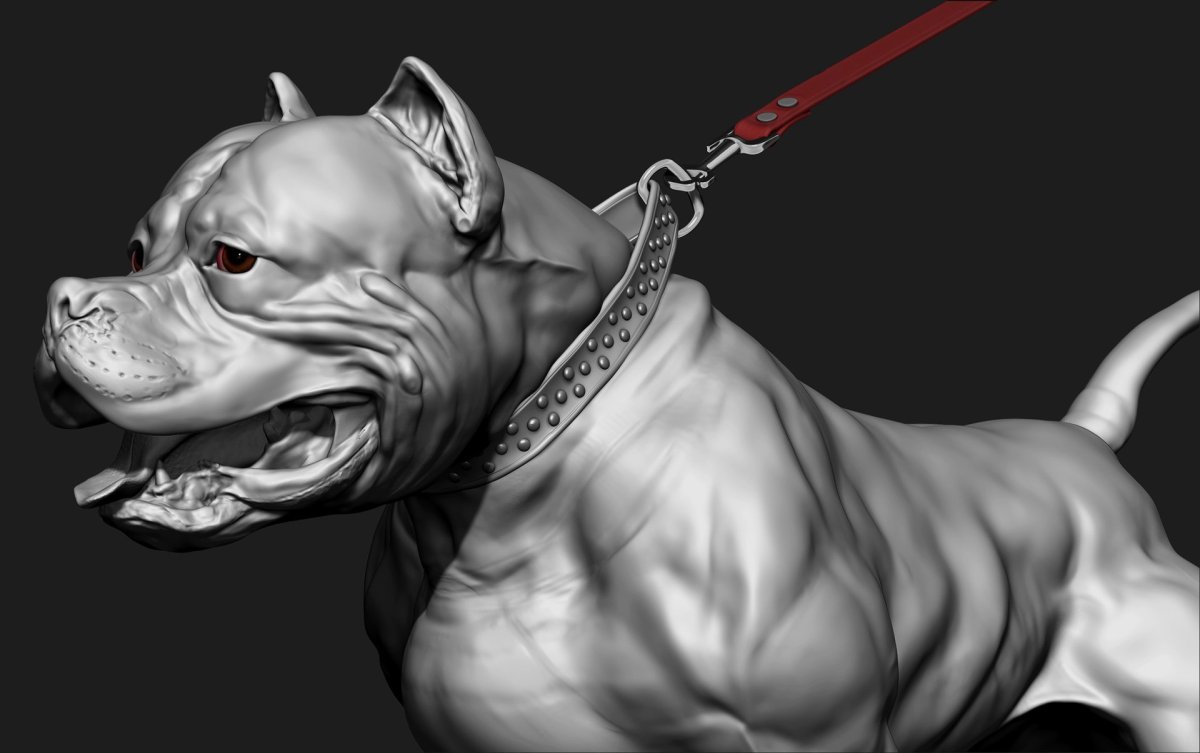 Американский стаффордширский бульдог