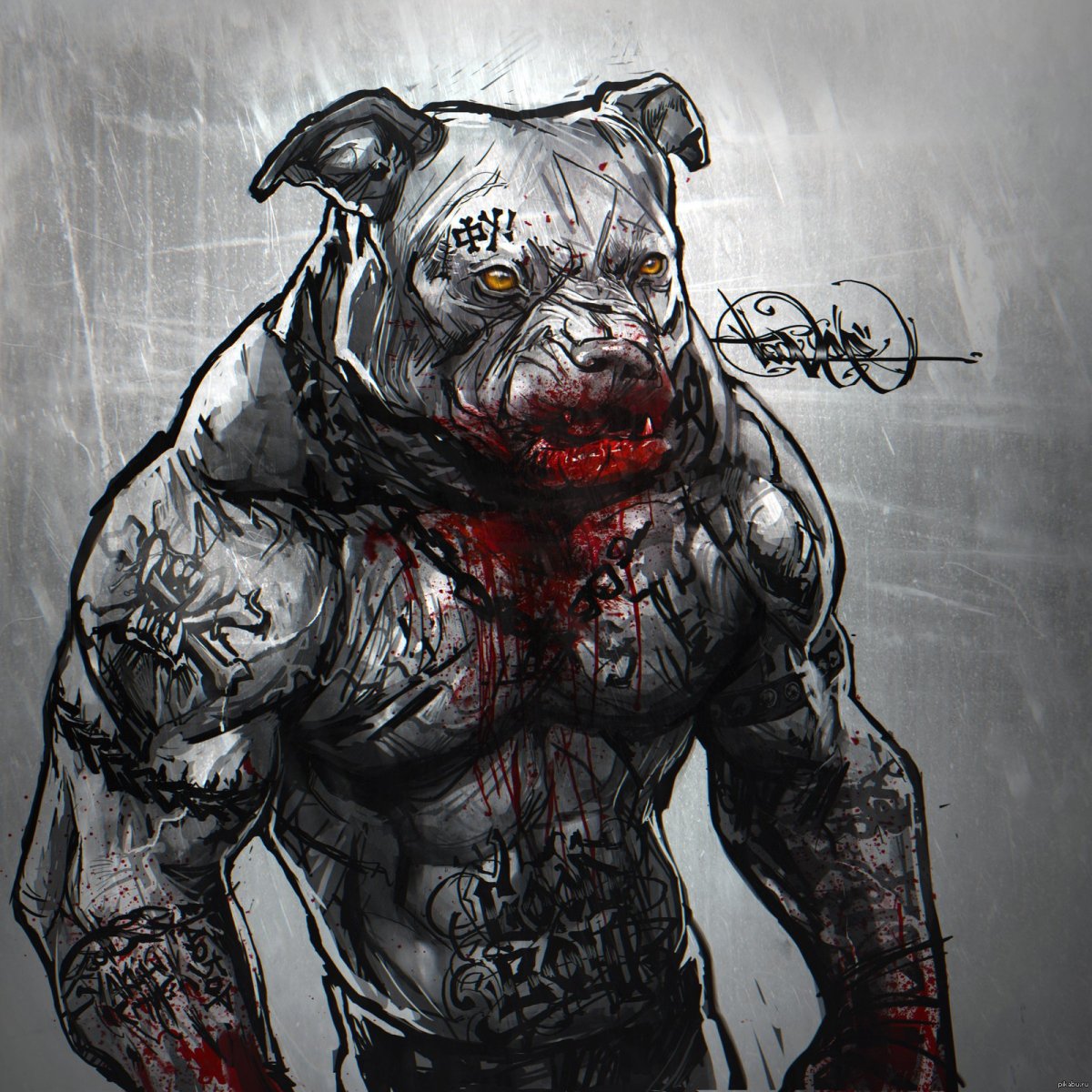 Брутальный питбуль