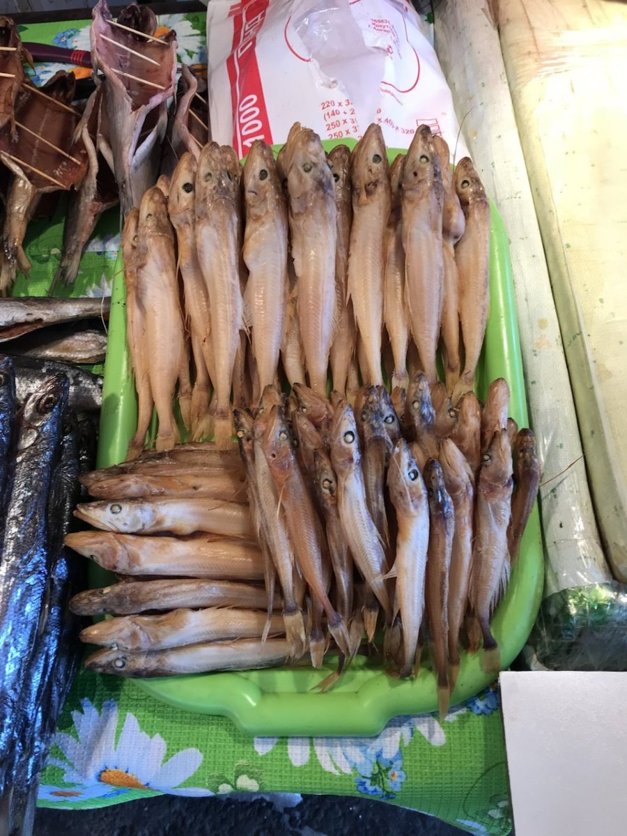 Рыбы Байкала