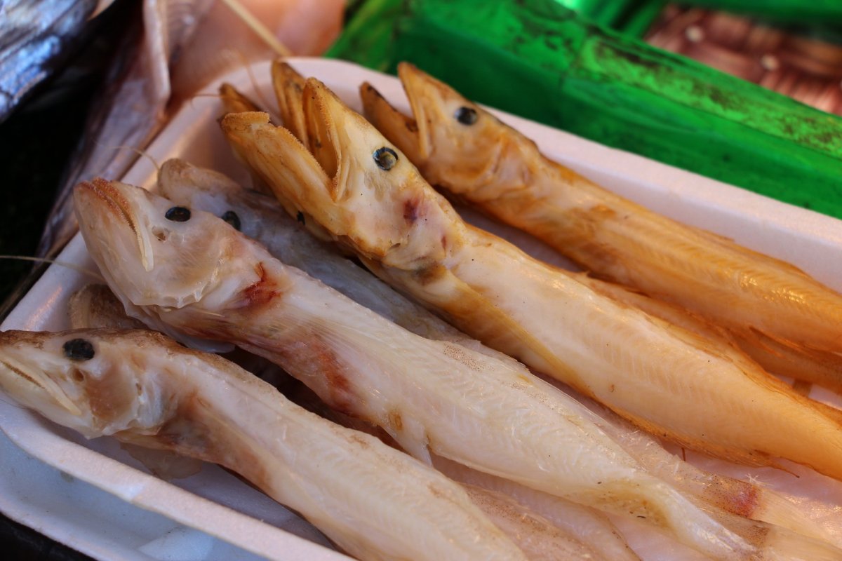 Рыба Голомянка