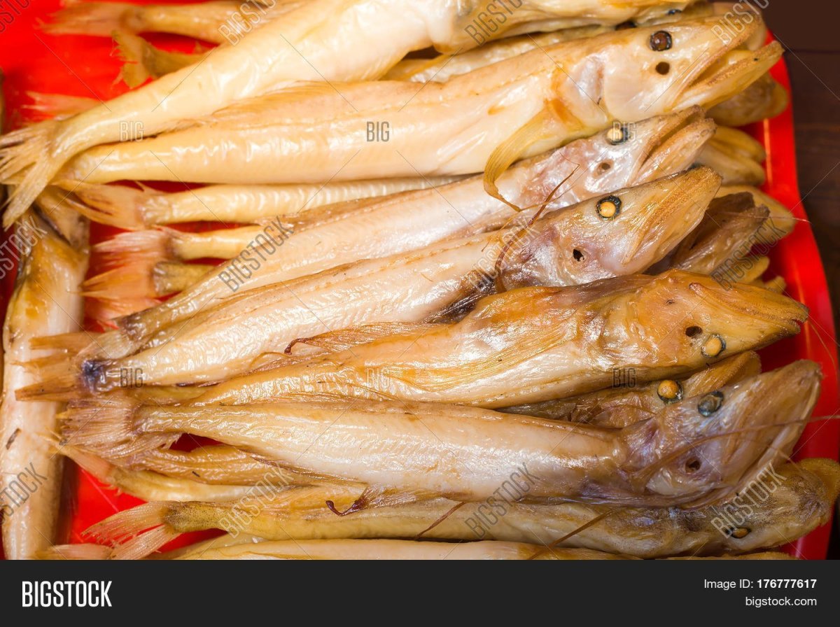 Голомянка Байкальская интересные факты