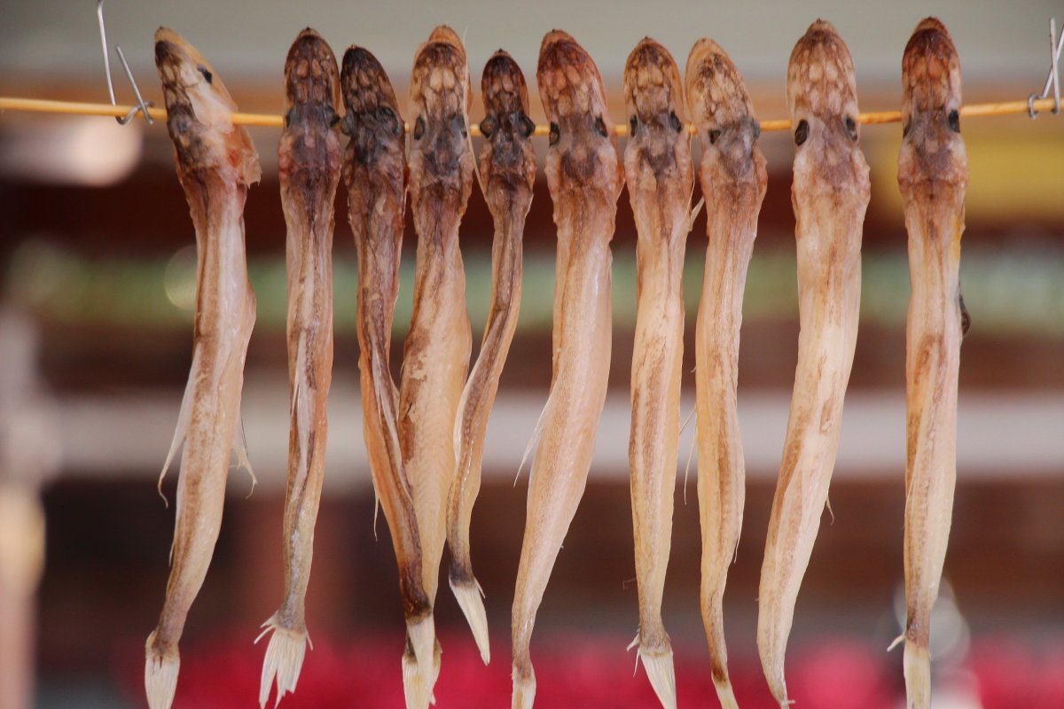 Байкальскую рыбку голомянку