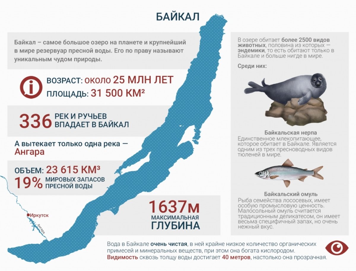 Байкальская рыба омуль