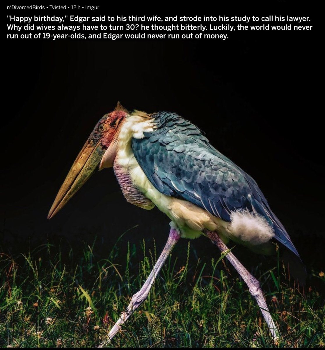 Жуткие птицы